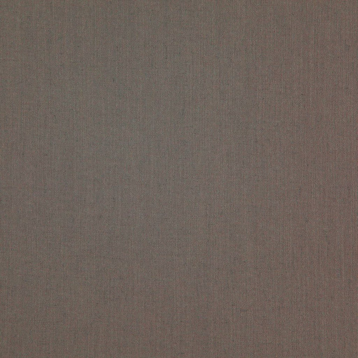 Landen Griffin by RM CoCo Fabric Landen 95% Polyester 5% Linen See Sample 100000 Horizontal: 0 and Vertical: 0 57 - Fabric Carolina -