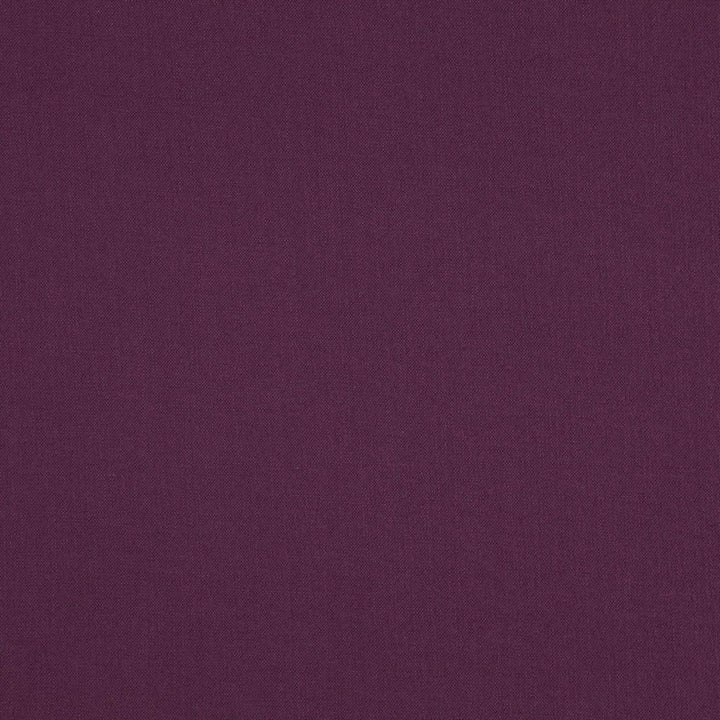 Landen Plum by RM CoCo Fabric Landen 95% Polyester 5% Linen See Sample 100000 Horizontal: 0 and Vertical: 0 57 - Fabric Carolina -