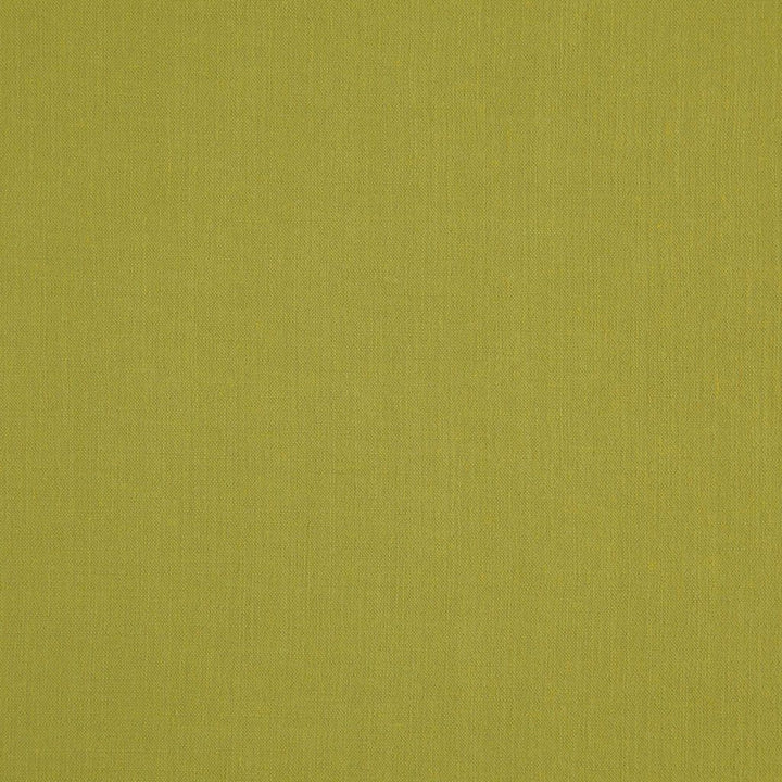 Landen Pistachio by RM CoCo Fabric Landen 95% Polyester 5% Linen See Sample 100000 Horizontal: 0 and Vertical: 0 57 - Fabric Carolina -