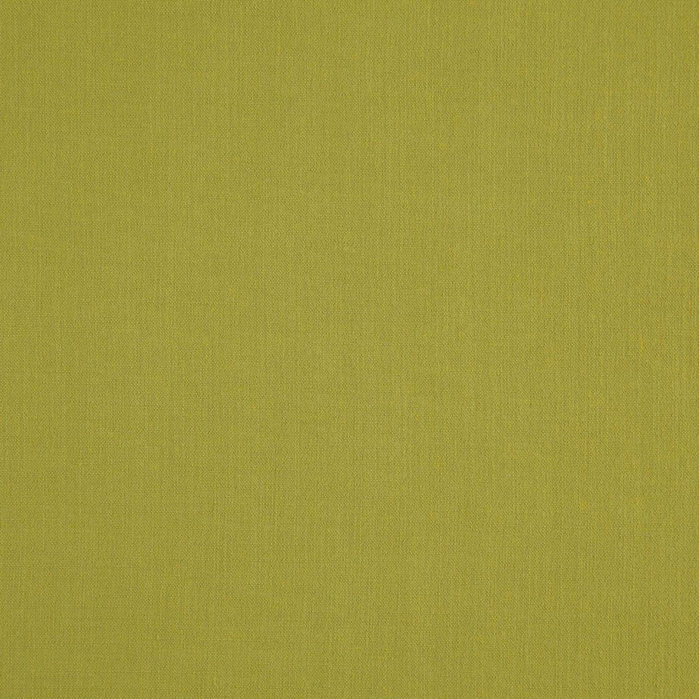 Landen Pistachio by RM CoCo Fabric Landen 95% Polyester 5% Linen See Sample 100000 Horizontal: 0 and Vertical: 0 57 - Fabric Carolina -