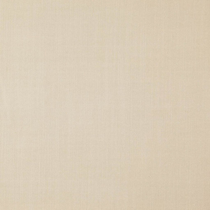 LANDEN GLACIER by RM CoCo Fabric Landen 95% Polyester 5% Linen See Sample 110000 Horizontal: 0 and Vertical: 0 57 - Fabric Carolina -
