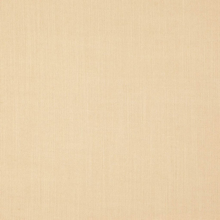 Landen Antique by RM CoCo Fabric Landen 95% Polyester 5% Linen See Sample 110000 Horizontal: 0 and Vertical: 0 57 - Fabric Carolina -