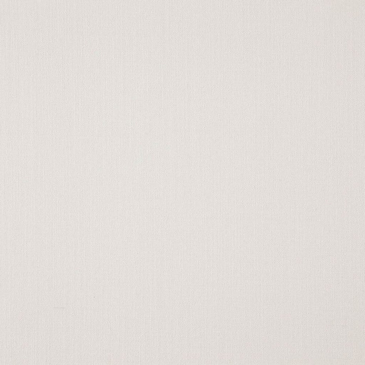 Landen Snow by RM CoCo Fabric Landen 95% Polyester 5% Linen See Sample 110000 Horizontal: 0 and Vertical: 0 57 - Fabric Carolina -