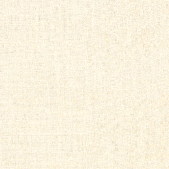 LANDEN MARSHMALLOW by RM CoCo Fabric Landen 95% Polyester 5% Linen See Sample 110000 Horizontal: 00 57  - Fabric Carolina -