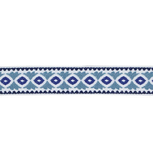 BD102 BORDER 2" GROTTO BLUE by RM CoCo Trim