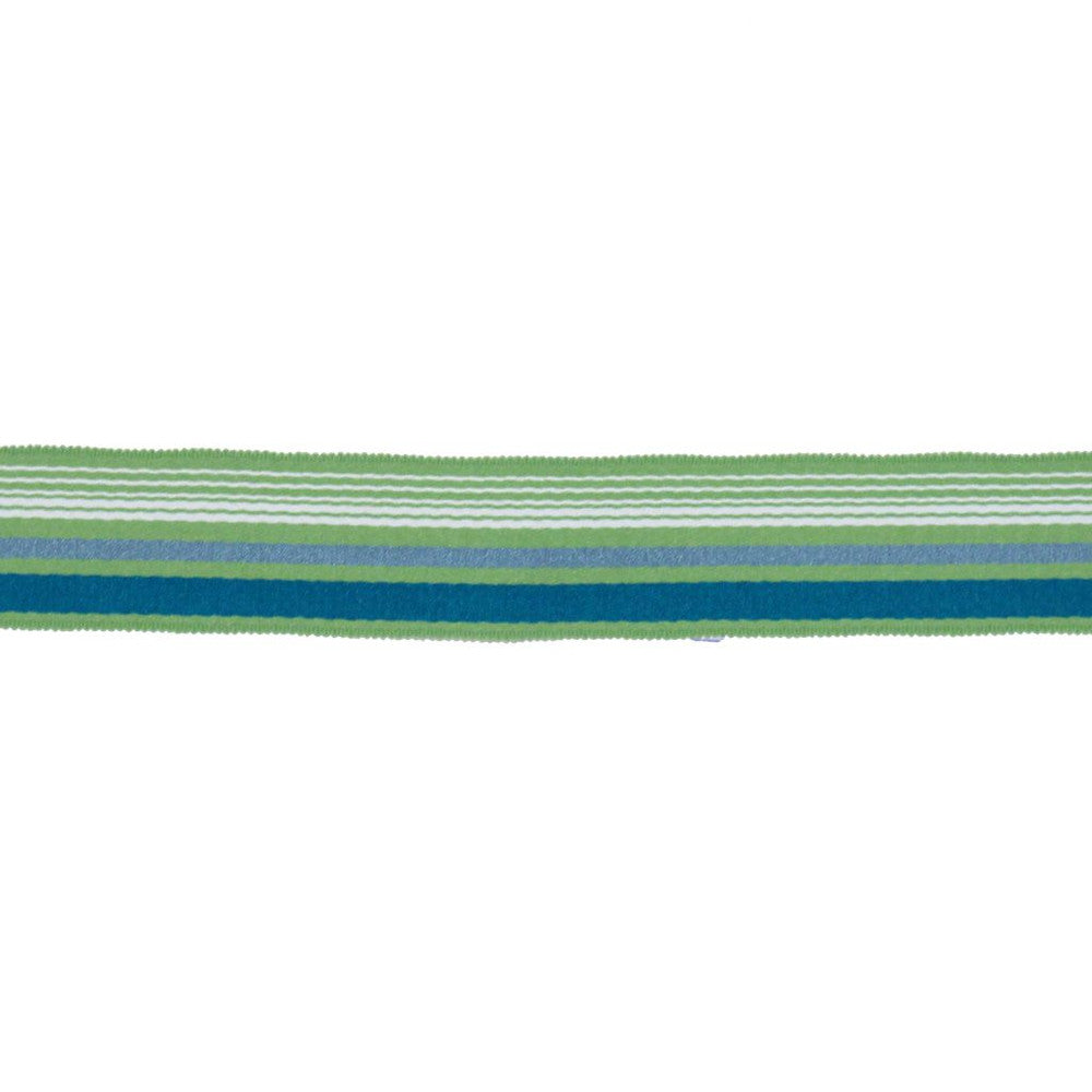 BD103 BORDER 1 7/8" CITRUS by RM CoCo Trim Bahama Breeze 100% Acrylic See Sample 0 Horizontal: 0 and Vertical: 0 1.88 - Fabric Carolina -