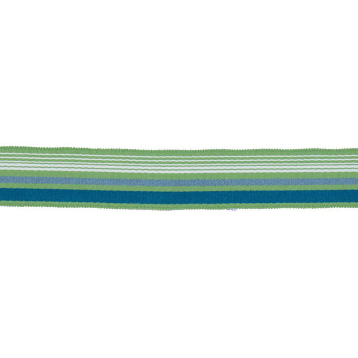 BD103 BORDER 1 7/8" CITRUS by RM CoCo Trim Bahama Breeze 100% Acrylic See Sample 0 Horizontal: 0 and Vertical: 0 1.88 - Fabric Carolina -