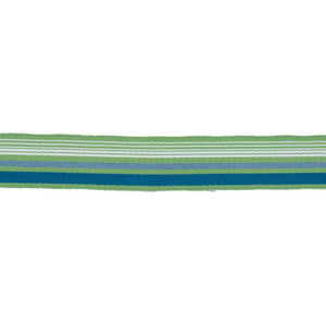 BD103 BORDER 1 7/8" CITRUS by RM CoCo Trim
