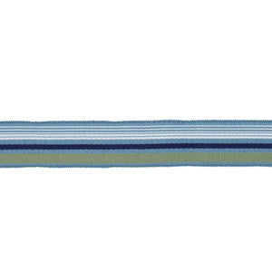 BD103 BORDER 1 7/8" AQUAMARINE by RM CoCo Trim