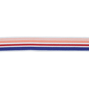 BD103 BORDER 1 7/8" SUNSET by RM CoCo Trim