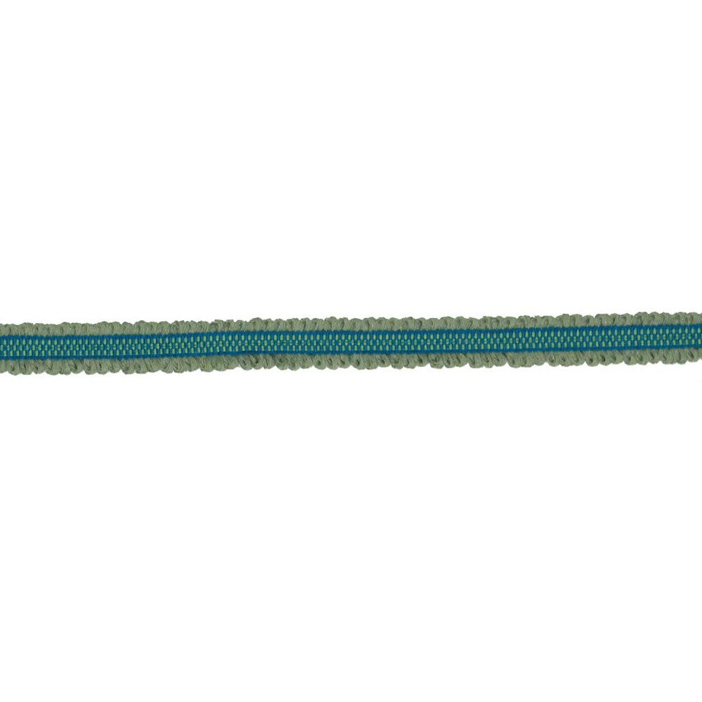 BD106 BORDER .75" CITRUS by RM CoCo Trim Bahama Breeze 89% Acrylic 11% Polyester See Sample 0 Horizontal: 0 and Vertical: 0 0.75 - Fabric Carolina -