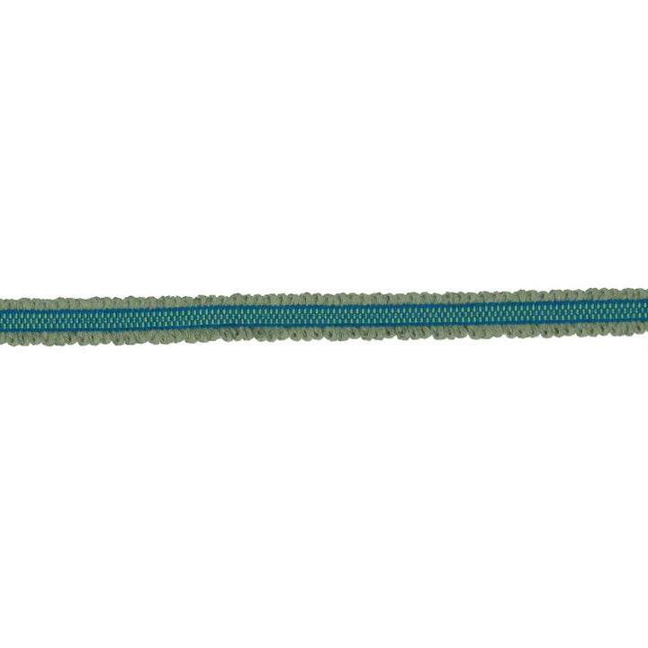 BD106 BORDER .75" CITRUS by RM CoCo Trim Bahama Breeze 89% Acrylic 11% Polyester See Sample 0 Horizontal: 0 and Vertical: 0 0.75 - Fabric Carolina -