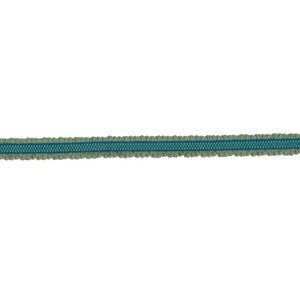 BD106 BORDER .75" CITRUS by RM CoCo Trim