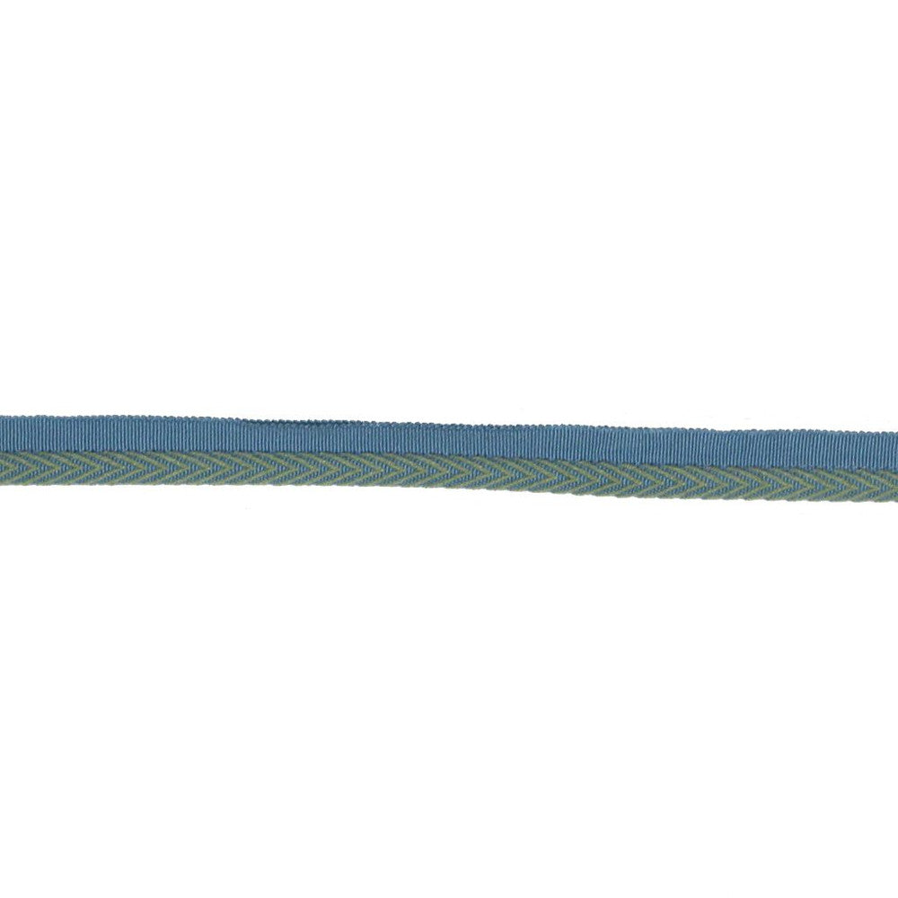 LC102 LIPCORD 3/8" AQUAMARINE by RM CoCo Trim Bahama Breeze 57% Acrylic 43% Cotton See Sample 0 Horizontal: 0 and Vertical: 0 0.38 - Fabric Carolina -