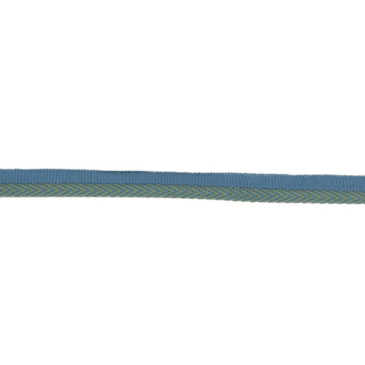 LC102 LIPCORD 3/8" AQUAMARINE by RM CoCo Trim Bahama Breeze 57% Acrylic 43% Cotton See Sample 0 Horizontal: 0 and Vertical: 0 0.38 - Fabric Carolina -