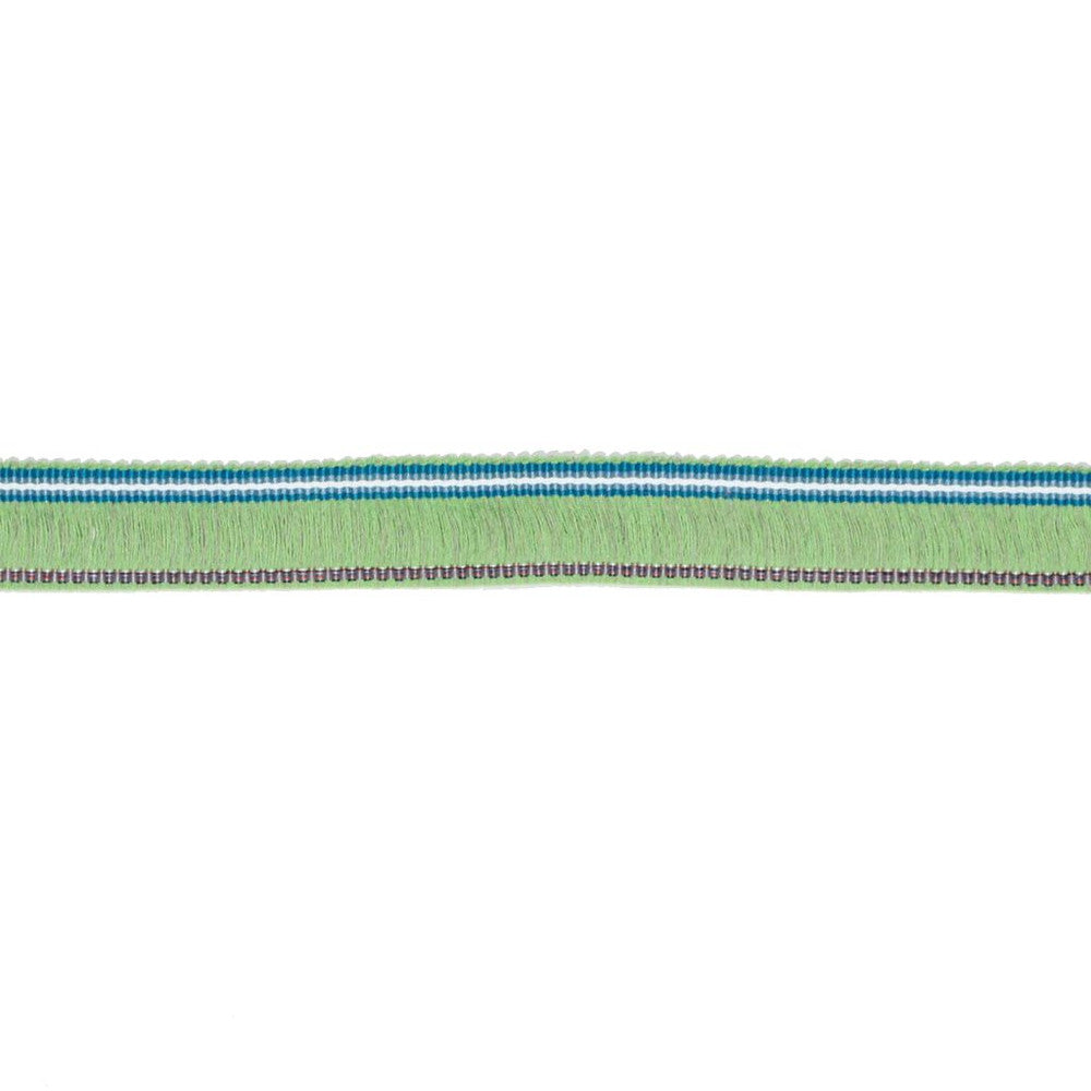 BF102 BRUSH FRINGE 1 3/16" CITRUS by RM CoCo Trim Bahama Breeze 89% Acrylic 11% Polyester See Sample 0 Horizontal: 0 and Vertical: 0 1.19 - Fabric Carolina -