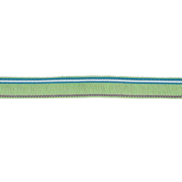 BF102 BRUSH FRINGE 1 3/16" CITRUS by RM CoCo Trim Bahama Breeze 89% Acrylic 11% Polyester See Sample 0 Horizontal: 0 and Vertical: 0 1.19 - Fabric Carolina -