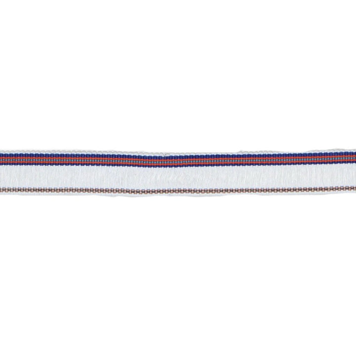 BF102 BRUSH FRINGE 1 3/16" SUNSET by RM CoCo Trim Bahama Breeze 89% Acrylic 11% Polyester See Sample 0 Horizontal: 0 and Vertical: 0 1.19 - Fabric Carolina -
