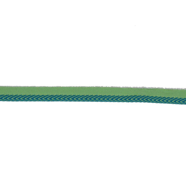 LC102 LIPCORD 3/8" CITRUS by RM CoCo Trim Bahama Breeze 57% Acrylic 43% Cotton See Sample 0 Horizontal: 0 and Vertical: 0 0.38 - Fabric Carolina -