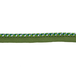 LC103 LIPCORD .25" CITRUS by RM CoCo Trim