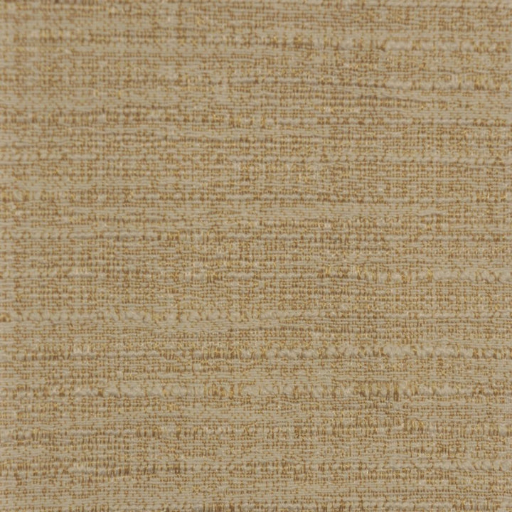 Hamilton Canvas by RM CoCo Fabric Hamilton 60% Cotton 40% Polyester See Sample 12000 Horizontal: 00 54  - Fabric Carolina -