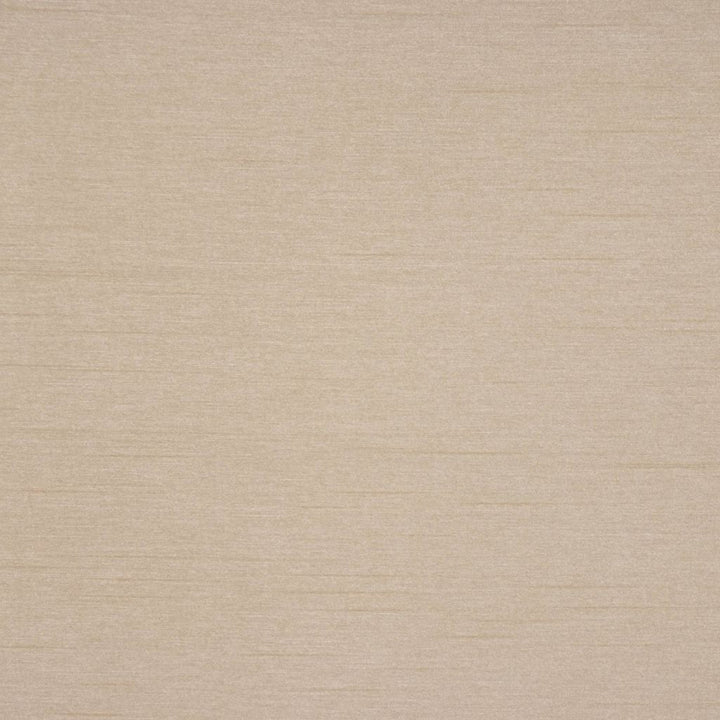 KEEPSAKES TUSSAH by RM CoCo Fabric Keepsakes III 100% Polyester See Sample 0 Horizontal: 00 54  - Fabric Carolina -