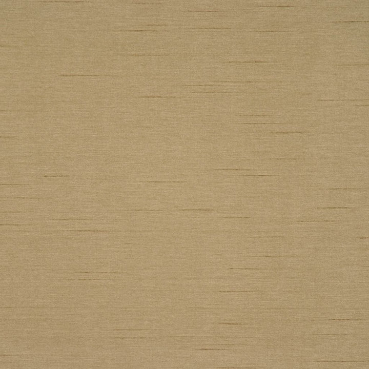 Keepsakes Sage by RM CoCo Fabric Keepsakes IV 100% Polyester See Sample 0 Horizontal: 0 and Vertical: 0 54 - Fabric Carolina -