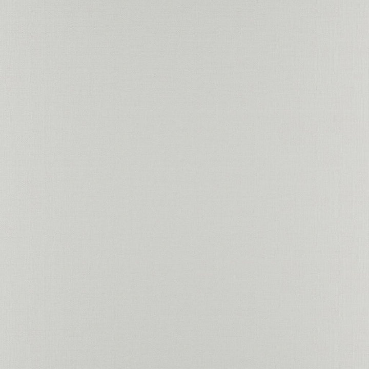 Prelude Angora by RM CoCo Fabric Prelude 100% Polyester See Sample 27000 Horizontal: 0 and Vertical: 0 59 - Fabric Carolina -