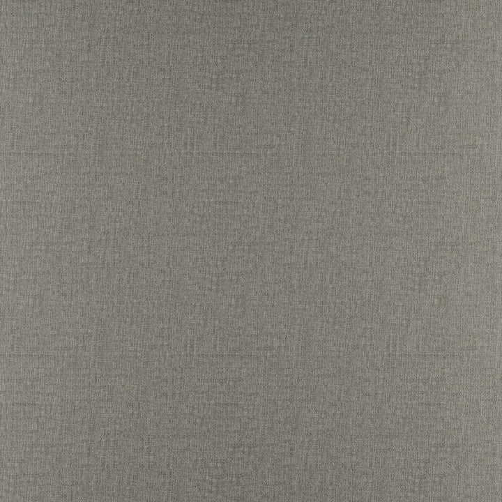 Prelude Chinchilla by RM CoCo Fabric Prelude 100% Polyester See Sample 27000 Horizontal: 0 and Vertical: 0 59 - Fabric Carolina -