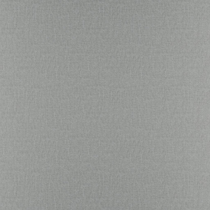 Prelude Limestone by RM CoCo Fabric Prelude 100% Polyester See Sample 27000 Horizontal: 0 and Vertical: 0 59 - Fabric Carolina -