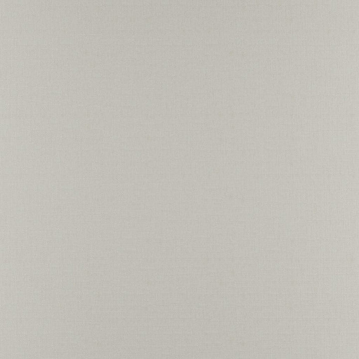 Prelude Linen by RM CoCo Fabric Prelude 100% Polyester See Sample 27000 Horizontal: 0 and Vertical: 0 59 - Fabric Carolina -