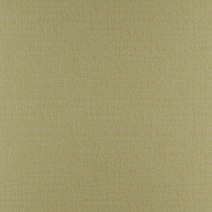 Prelude Moss by RM CoCo Fabric Prelude 100% Polyester See Sample 27000 Horizontal: 0 and Vertical: 0 59 - Fabric Carolina -