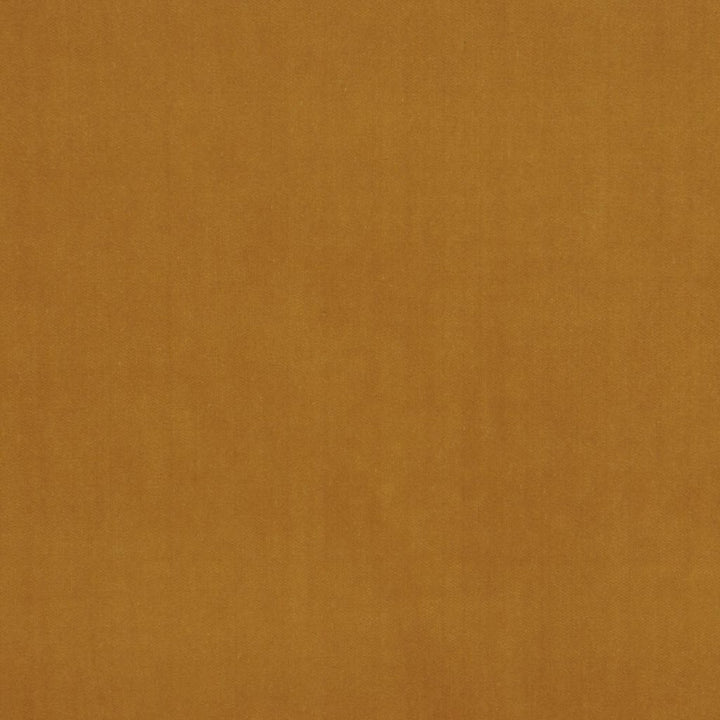 Deluxe Cotton Velvet Camel by RM CoCo Fabric Deluxe II 100% Cotton Face 100% Polyester Backing See Sample 100000 Horizontal: 0 and Vertical: 0 54 - Fabric Carolina -
