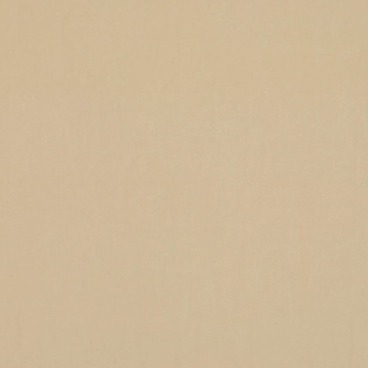 Deluxe Cotton Velvet Snow by RM CoCo Fabric