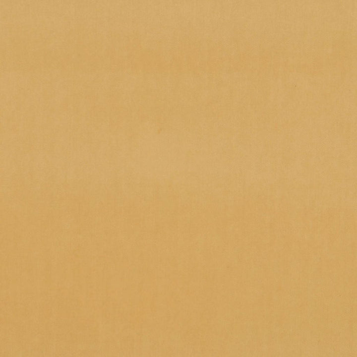 Deluxe Cotton Velvet Ecru by RM CoCo Fabric