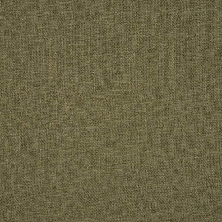FAIRMONT SAGE GREEN by RM CoCo Fabric Fairmont 45% Viscose 55% Linen See Sample 9000 Horizontal: 0 and Vertical: 0 54 - Fabric Carolina -