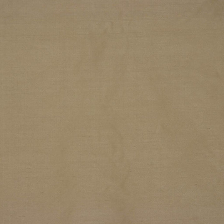 PERCEPTION Pistachio by RM CoCo Fabric Perception II 100% Silk See Sample 0 Horizontal: 00 54  - Fabric Carolina -
