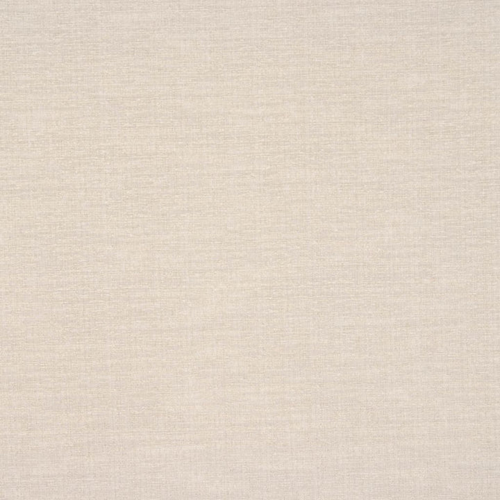 ADAPTATION LINEN by RM CoCo Fabric Time Keeper 58% Cotton 42% Polyester See Sample 25000 Horizontal: 0 and Vertical: 0 55 - Fabric Carolina -