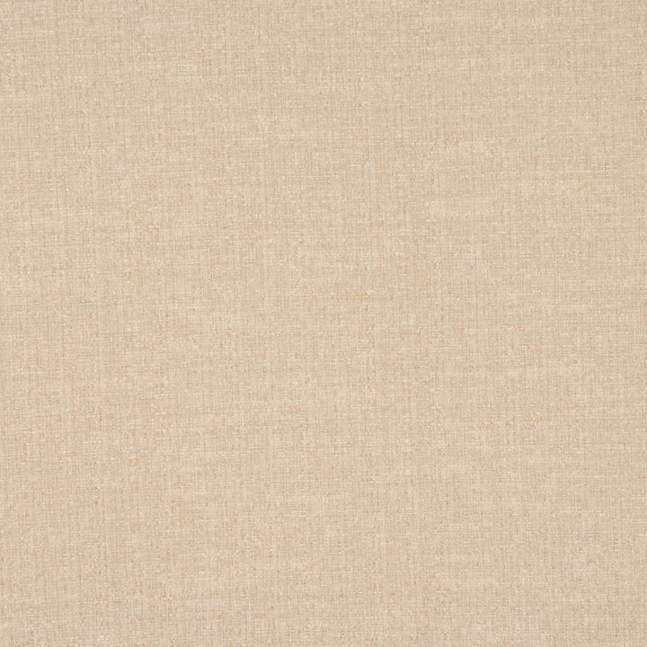 Serenade Sand by RM CoCo Fabric Classic Textures 66% Cotton 34% Polyester See Sample 69000 Horizontal: 0 and Vertical: 0 54 - Fabric Carolina -