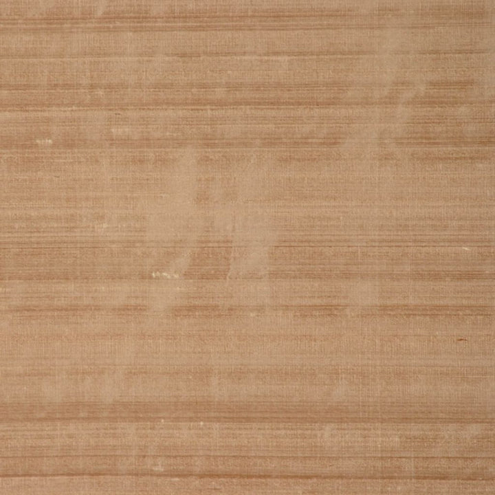 RM DUPIONI ACORN by RM CoCo Fabric Dupioni by RM COCO 100% Silk See Sample 0 Horizontal: 0 and Vertical: 0 54 - Fabric Carolina -