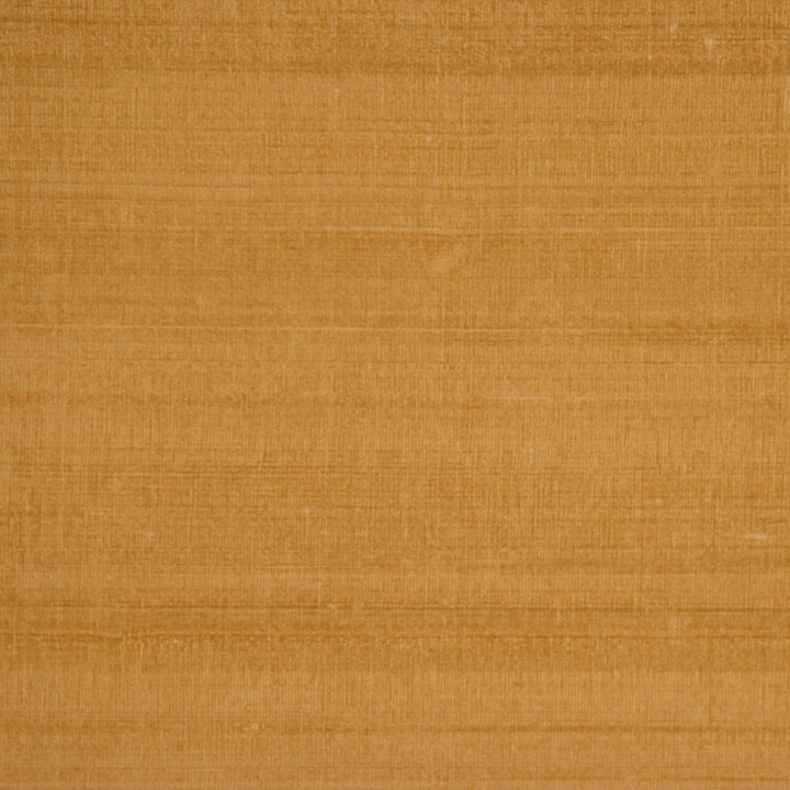 RM DUPIONI GOLD HAZE by RM CoCo Fabric Dupioni by RM COCO 100% Silk See Sample 0 Horizontal: 0 and Vertical: 0 54 - Fabric Carolina -