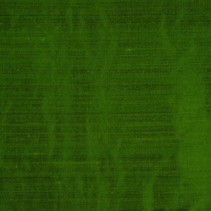 RM DUPIONI PARROT by RM CoCo Fabric Dupioni by RM COCO 100% Silk See Sample 0 Horizontal: 0 and Vertical: 0 54 - Fabric Carolina -