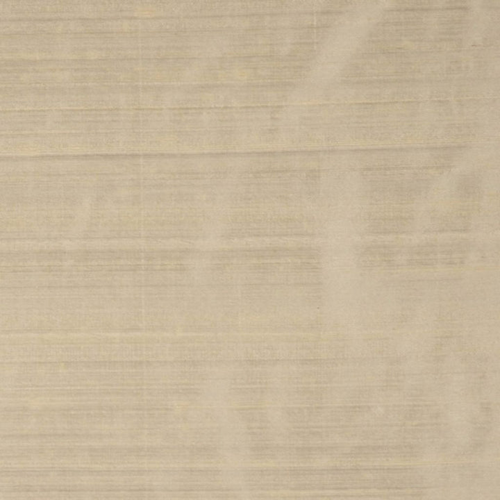 RM DUPIONI TAN by RM CoCo Fabric Dupioni by RM COCO 100% Silk See Sample 0 Horizontal: 0 and Vertical: 0 54 - Fabric Carolina -