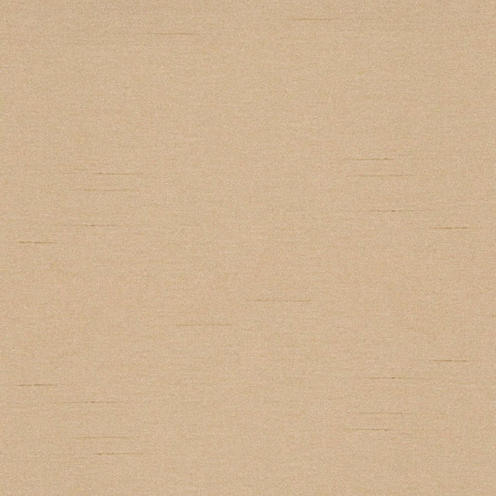 Keepsakes Almond by RM CoCo Fabric Keepsakes IV 100% Polyester See Sample 0 Horizontal: 0 and Vertical: 0 54 - Fabric Carolina -