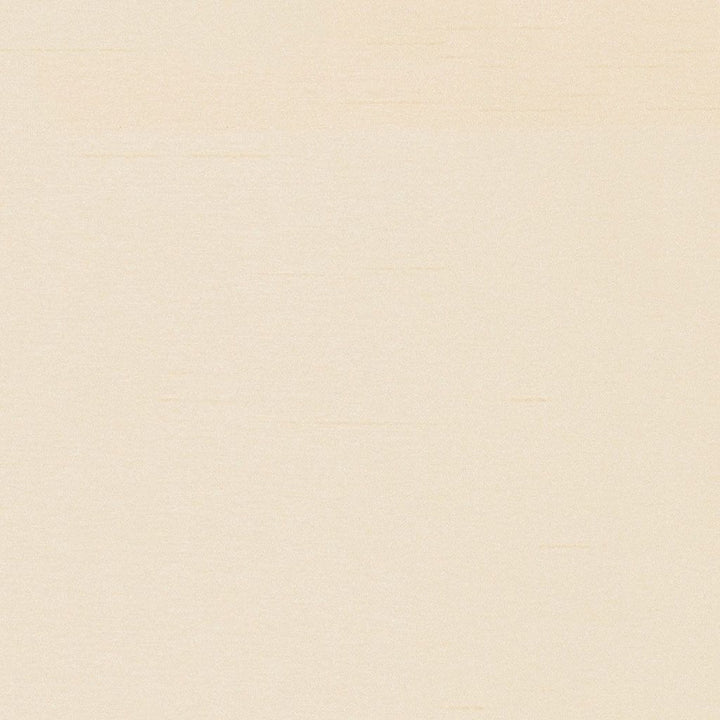 Keepsakes Dune by RM CoCo Fabric Keepsakes IV 100% Polyester See Sample 0 Horizontal: 0 and Vertical: 0 54 - Fabric Carolina -