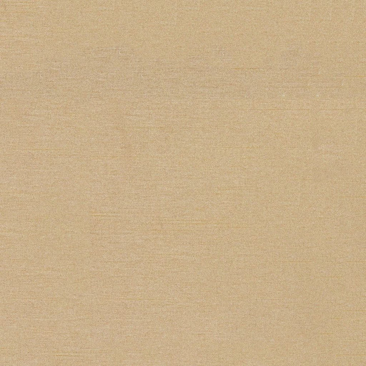 KEEPSAKES DOESKIN by RM CoCo Fabric Keepsakes III 100% Polyester See Sample 0 Horizontal: 0 and Vertical: 0 54 - Fabric Carolina -