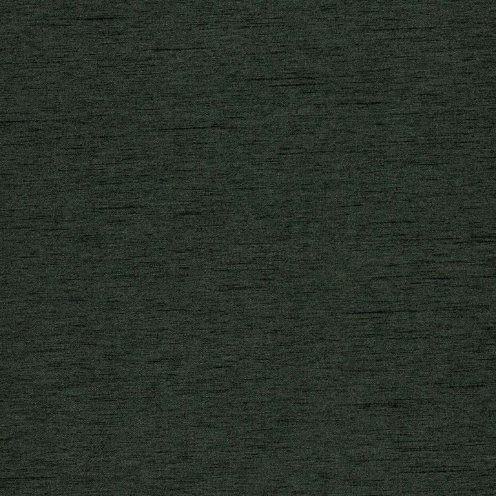 Keepsakes Juniper by RM CoCo Fabric Keepsakes IV 100% Polyester See Sample 0 Horizontal: 0 and Vertical: 0 54 - Fabric Carolina -