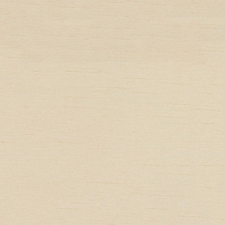 KEEPSAKES Pebble by RM CoCo Fabric Keepsakes II 100% Polyester See Sample 9000 Horizontal: 0 and Vertical: 0 54 - Fabric Carolina -