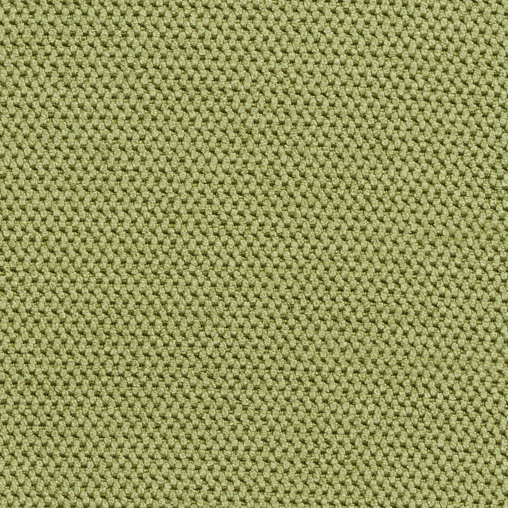 1602 Palm by Charlotte Fabric Textures 100% Woven Polyester Asia Exceeds 200,000 Wyzenbeek Rubs (Heavy Duty) No Repeat 54 Inches - Fabric Carolina -
