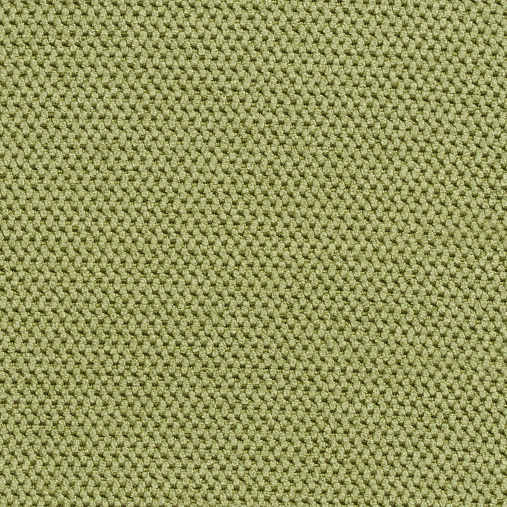 1602 Palm by Charlotte Fabric Textures 100% Woven Polyester Asia Exceeds 200,000 Wyzenbeek Rubs (Heavy Duty) No Repeat 54 Inches - Fabric Carolina -